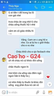 Combo 5 cao ho lá thường xuân