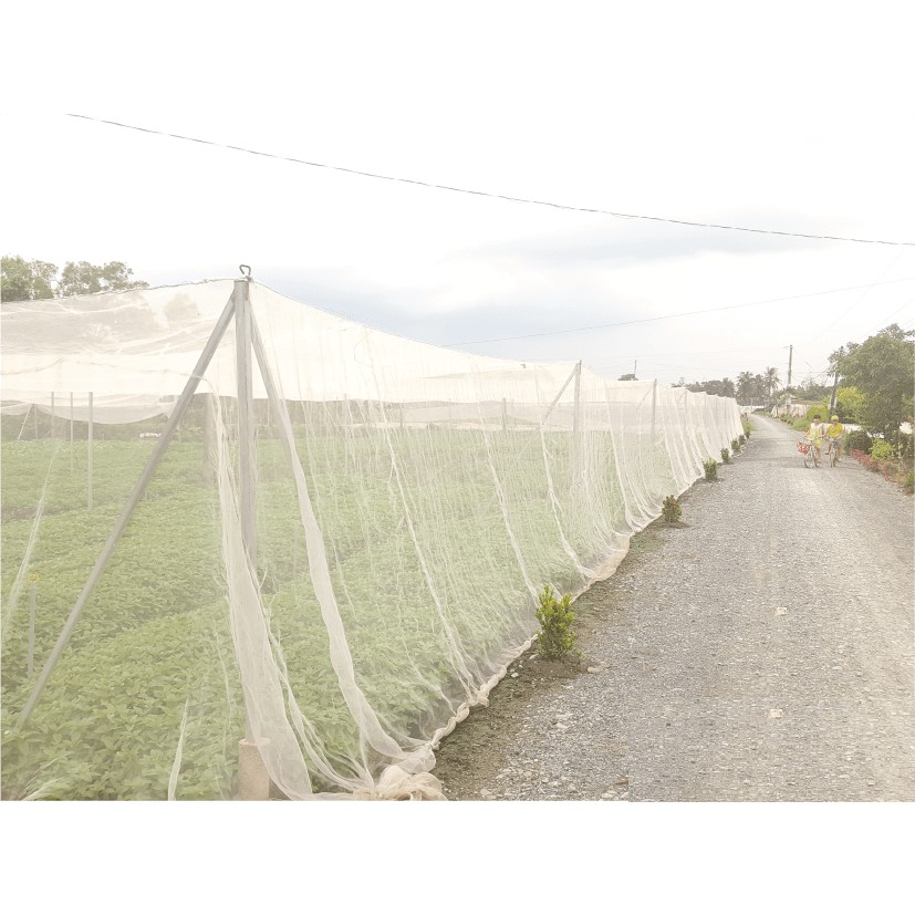 Lưới chắn côn trùng dùng để bao che xung quanh nhà, chuồng trại, vườn ươm, vườn cây hoa màu