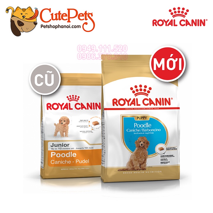 Hạt Royal Canin Poodle 1,5kg Thức ăn hạt cho chó cao cấp - Phụ kiện thú cưng Hà Nội