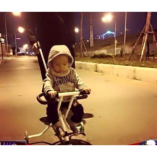 Xe đẩy di động 3 bánh