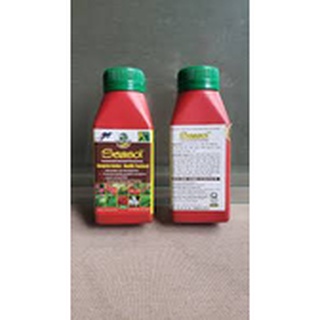 Phân tảo biển seasol – tốt rễ, đẻ nhánh 250ml