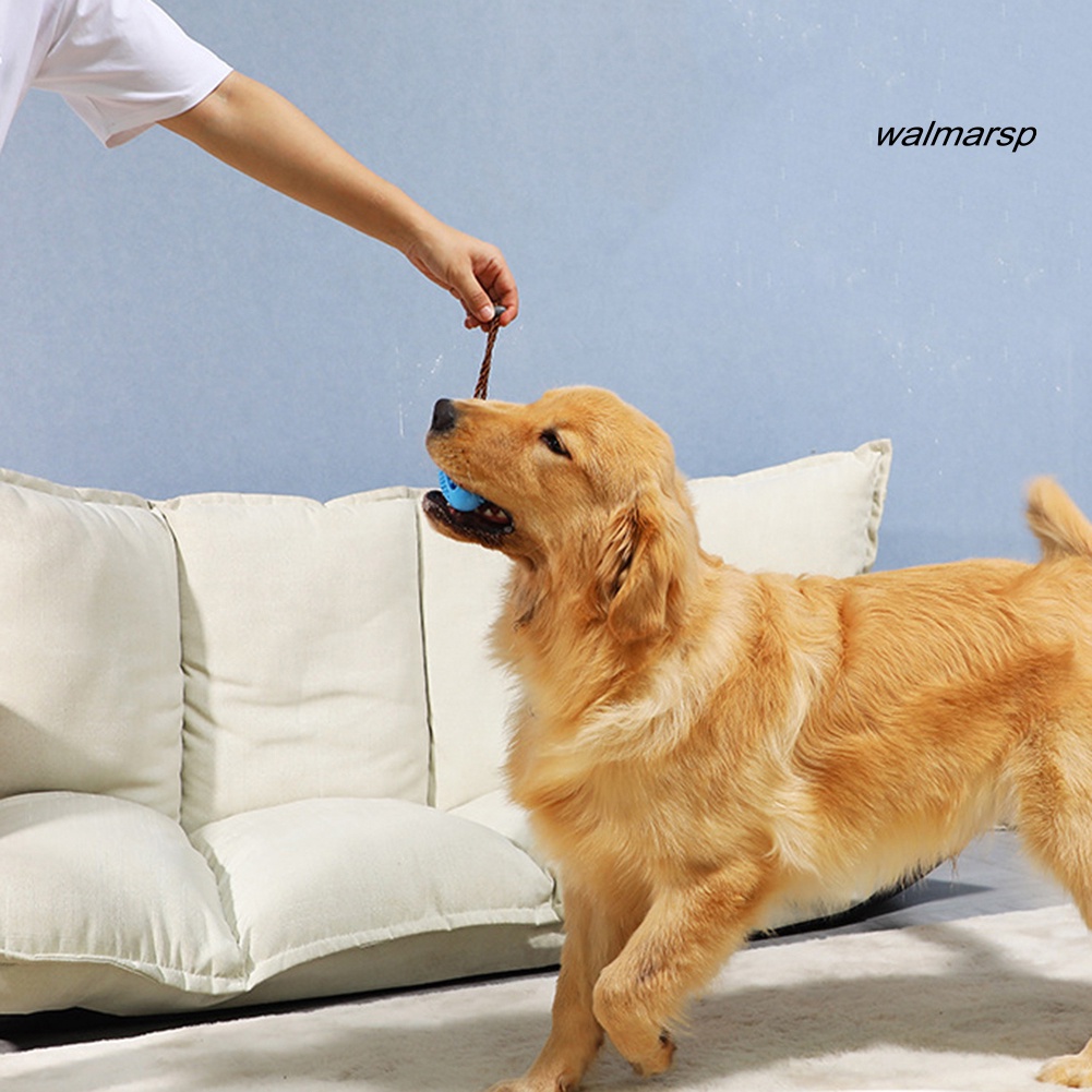 Đồ Chơi Nhai Gặm Co Giãn Hình Quả Bóng Bầu Dục Cho Thú Cưng