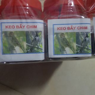 Keo bẫy chim siêu dính