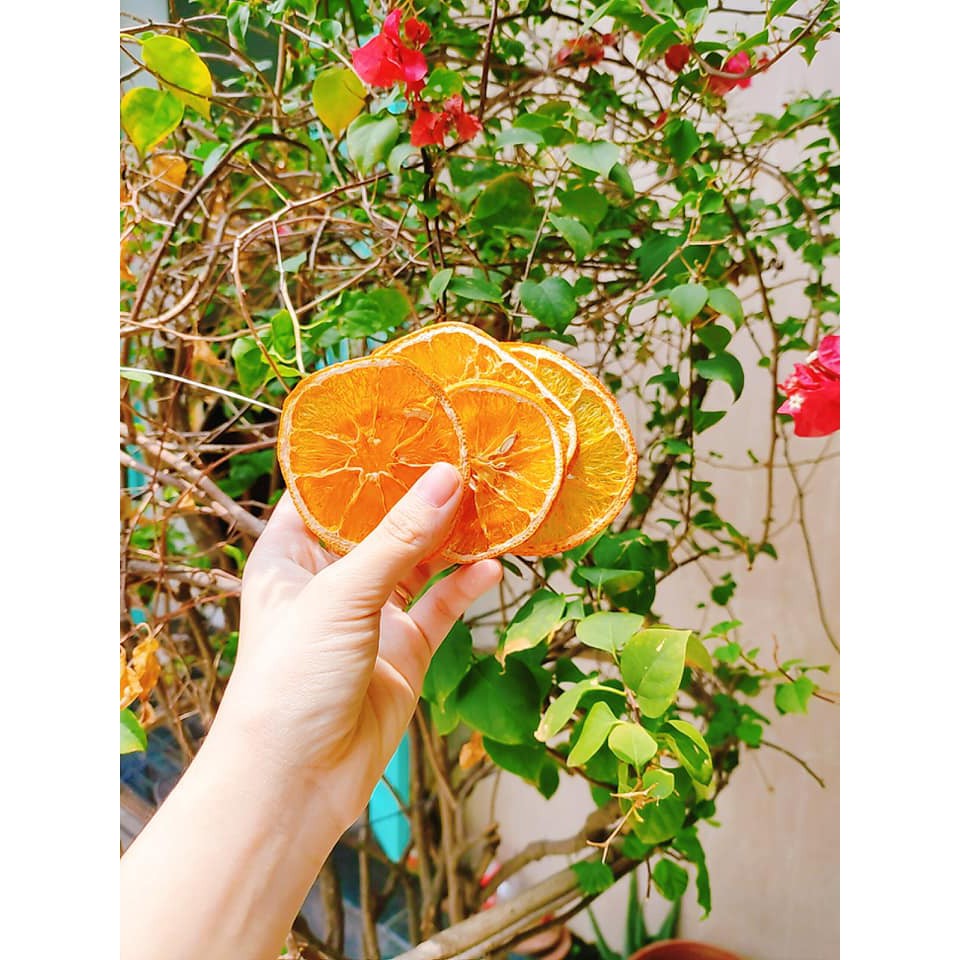 Hoa quả sấy khô set 30 gói trà detox tặng 3 gói đường, không tặng hộp + bình + mật ong + túi vải - ẢNH THẬT