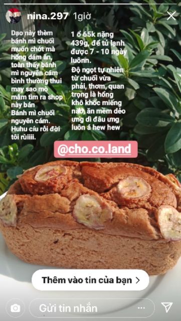 Bánh mì chuối nguyên cám 450g (Healthy Banana Bread) | BigBuy360 - bigbuy360.vn