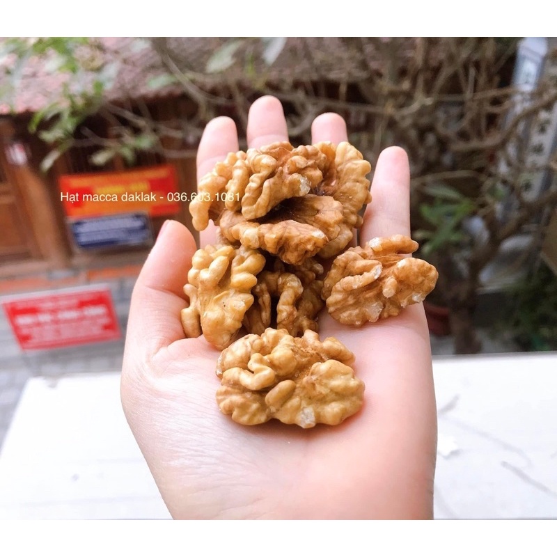 500G NHÂN ÓC CHÓ [NƯỚNG CHÍN]