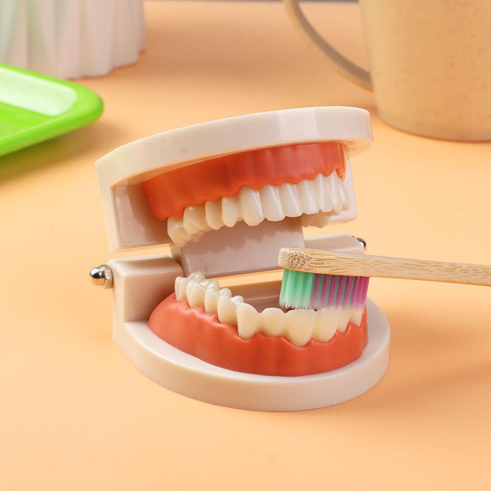 Bộ Bàn Chải Đánh Răng Theo Phương Pháp Montessori Cho Bé