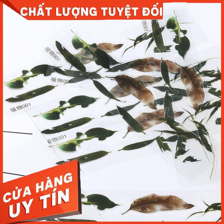 Sticker dán Cá vàng 3d- Vẽ tranh nghệ thuật Resin- CV003 - Hàng nhập khẩu