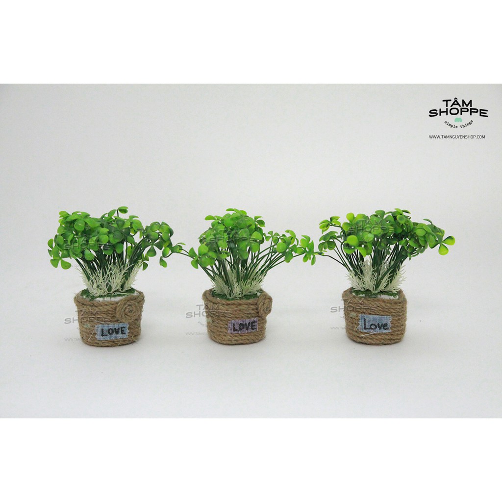 CHẬU MẦM ĐÁ MINI VINTAGE SỐ 44
