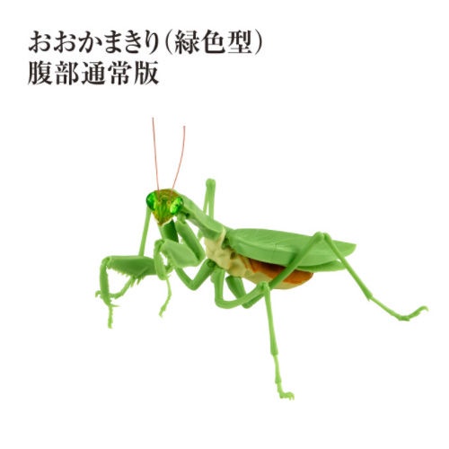 Đồ Chơi Hình Con Bọ Cánh Cứng Có Khớp Cử Động