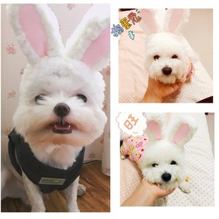 Nón tai thỏ 4 màu cho tết 2026 chó mèo - T3 PETS SHOP