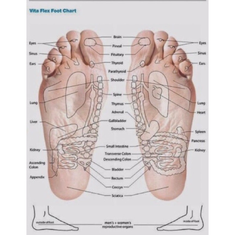 Máy massage trị liệu bàn chân Máy xung điện bàn chân