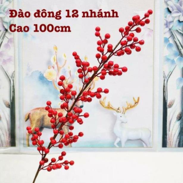 Hoa giả - Đào đông