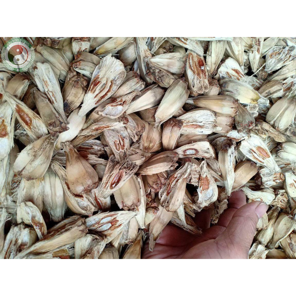 1kg Quả Dứa Dại - Dứa Rừng Hòa Bình