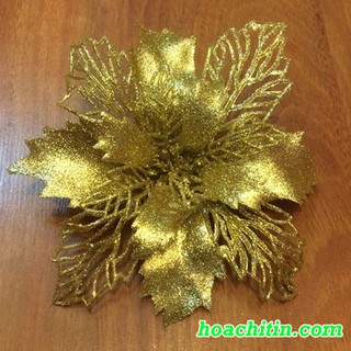 Hoa Trạng Nguyên Kim Tuyến trang trí noel giáng sinh