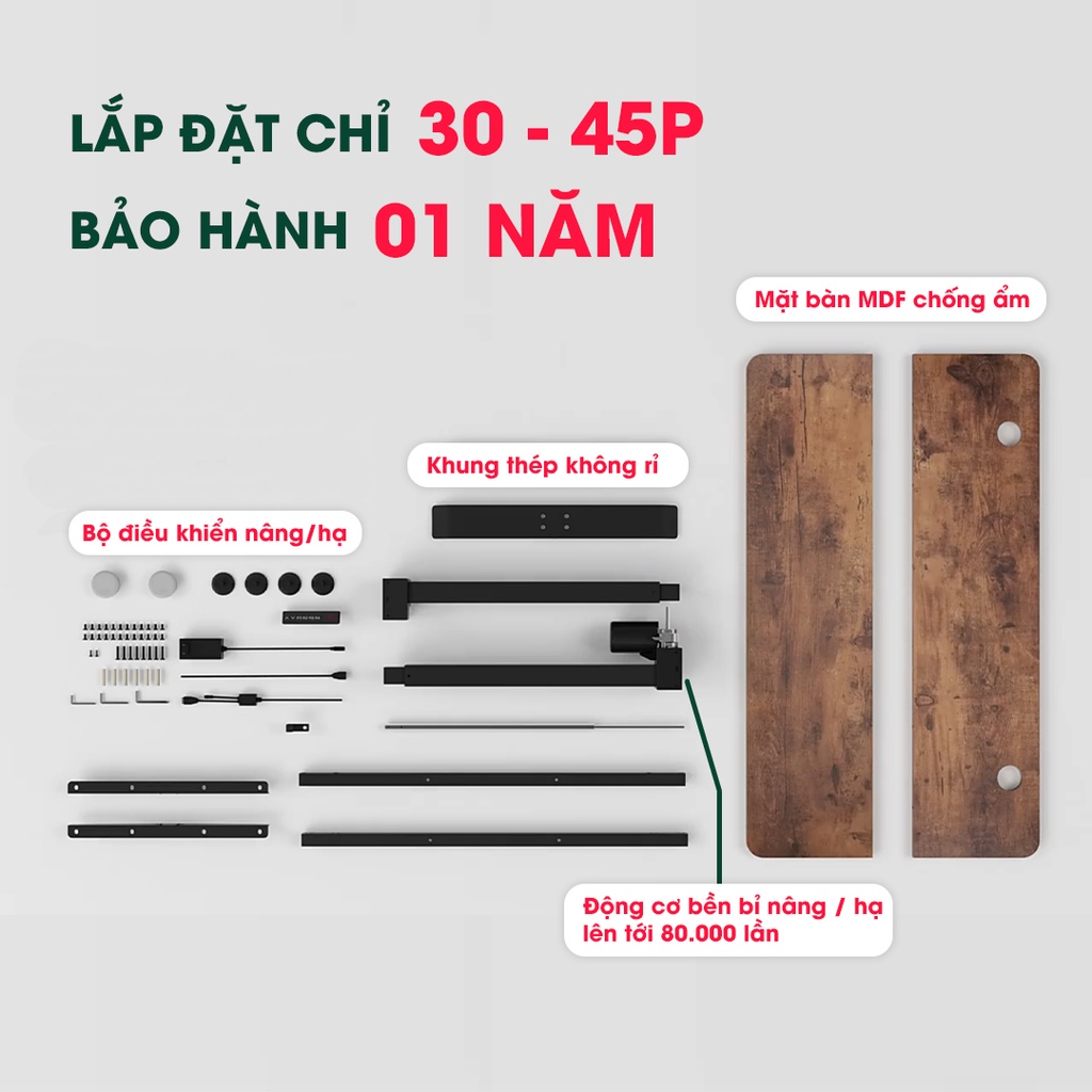 Bàn nâng hạ Ergonomic Smart Desk V2 Công Thái Học + Mặt bàn vân gỗ Sồi - Bàn nâng hạ thông minh tự động điều chỉnh điện