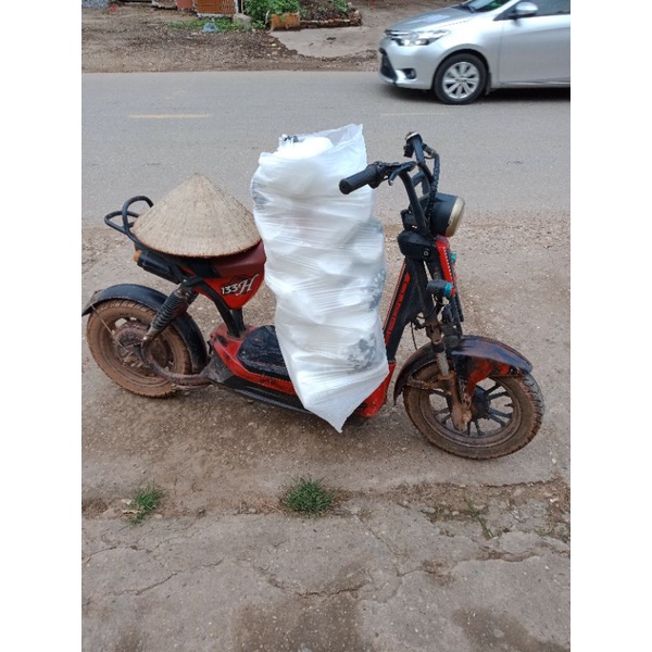 100TÚI BỌC BƯỞI DA XANH,BƯỞI DIỄN,BƯỞI ĐOAN HÙNG,XẦU RIÊNGVV&quot;&quot;30×30(hàng loại 1 ko bị lỗi)