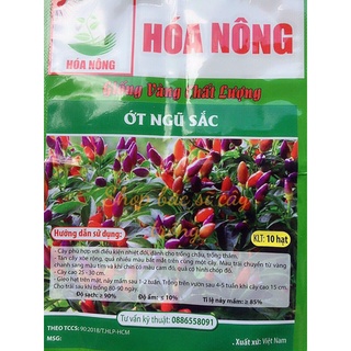 Hạt giống ớt ngũ sắc trái nhiều