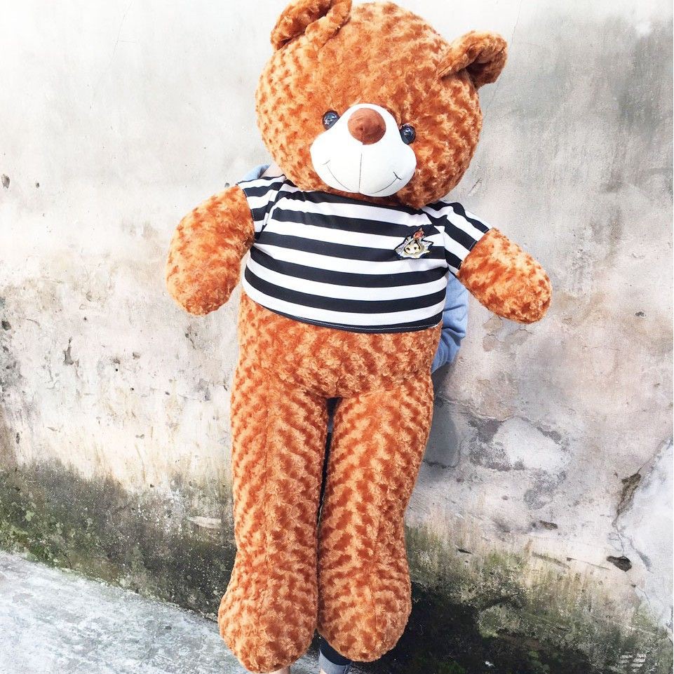 Gấu bông Teddy Cao Cấp khổ vải 1,4m Cao 1,2m Màu Vàng Đồng