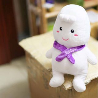 Gấu bông bobby