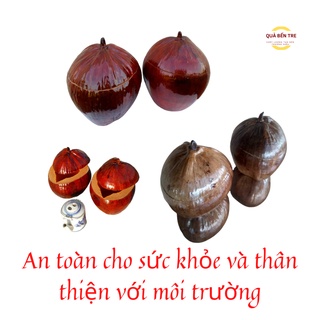 Bộ vỏ bình trà và bình trà cỡ vừa (khoảng 600-700ml)