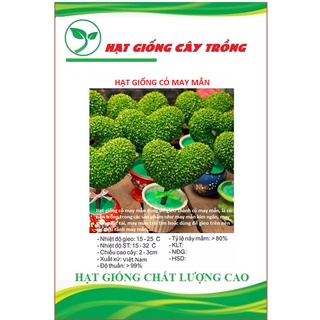 Hạt giống cỏ may mắn ct231 - gói 100 hạt
