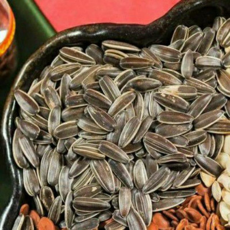 HẠT HƯỚNG DƯƠNG