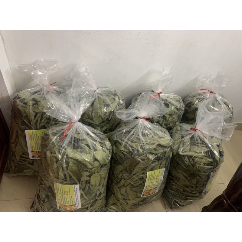 LÁ CHÈ HOA VÀNG (khô/ Ba Chẽ - Quảng Ninh)
