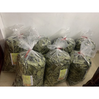 Lá chè hoa vàng