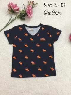 Áo thun trẻ em 8 - 33kg