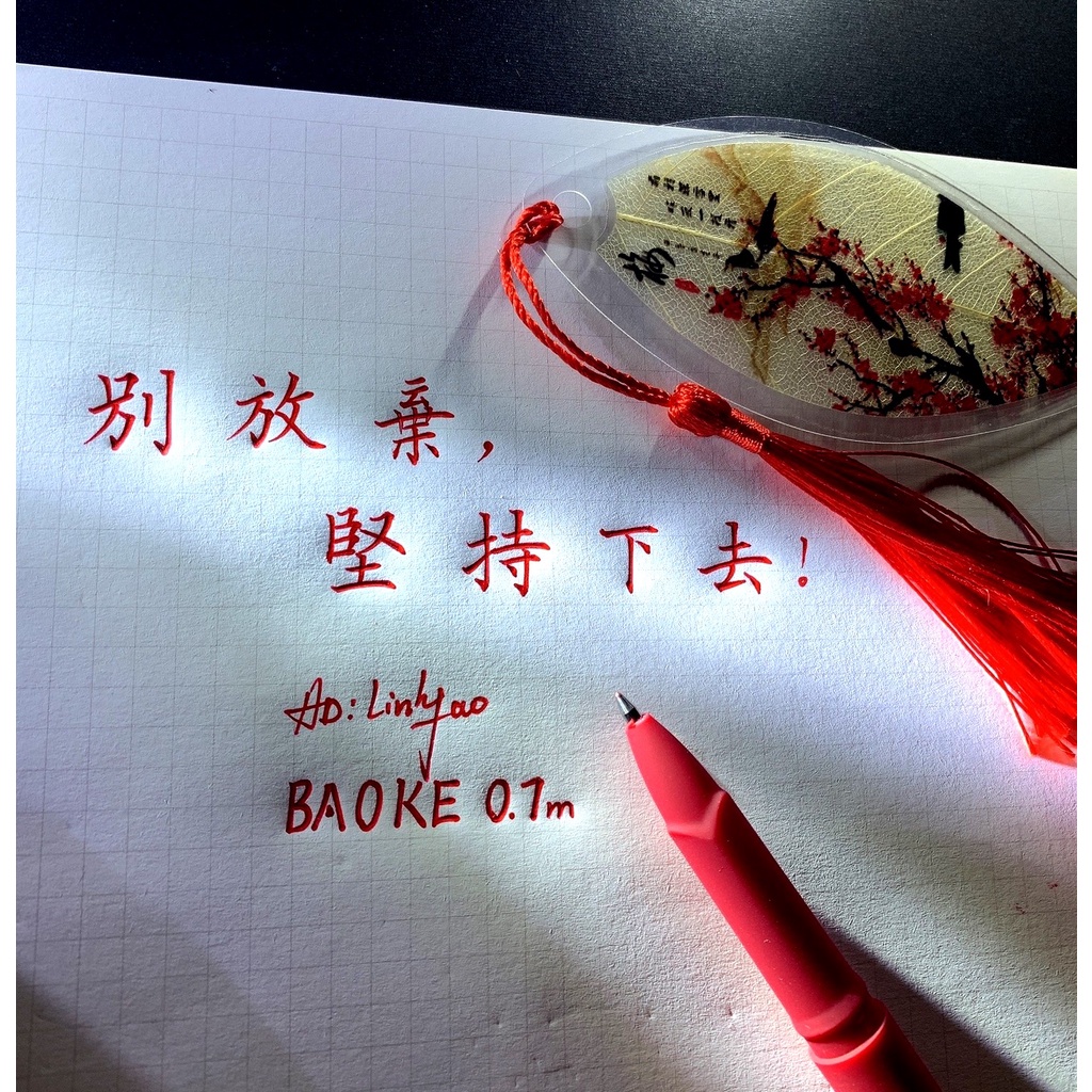 Bút Baoke chuyên dụng 0.7m viết chữ hán Gel pen - BKTL01