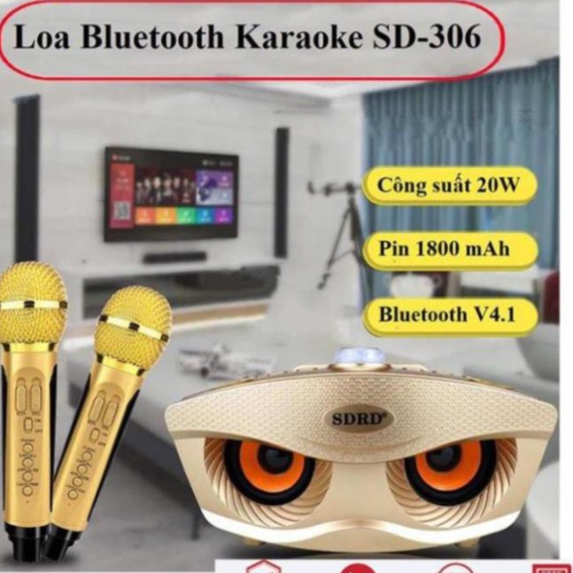 Loa Hát karaoke SD 306- Loa karaoke kèm 2 micro sạc không dùng pin - Âm thanh to Màu Ngẫu Nhiên