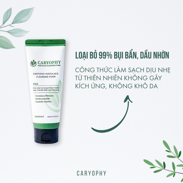 Sữa Rửa Mặt Giảm Mụn, Kiềm Dầu Caryophy Portulaca Foam Cleanser 150ml