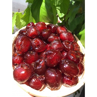1kg mận/ táo dẻo thái lan sấy vừa ăn /500g