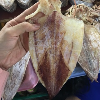 1 con mực như hình