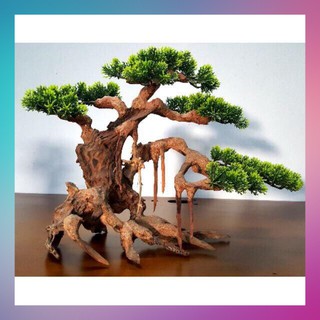 Lũa Bonsai Lá Nhựa - Trang Trí Bể Cá - lũa trang trí  - [ Xưởng Thủy Sinh TS Online37 ]