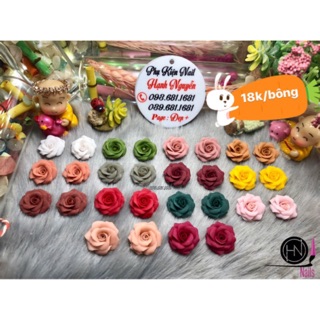 Bột mỹ lì hũ 10gr,20gr vẽ hoa nổi trang trí móng