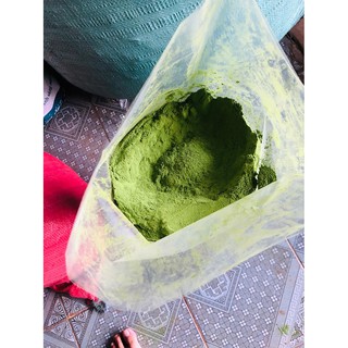 Bột chùm ngây