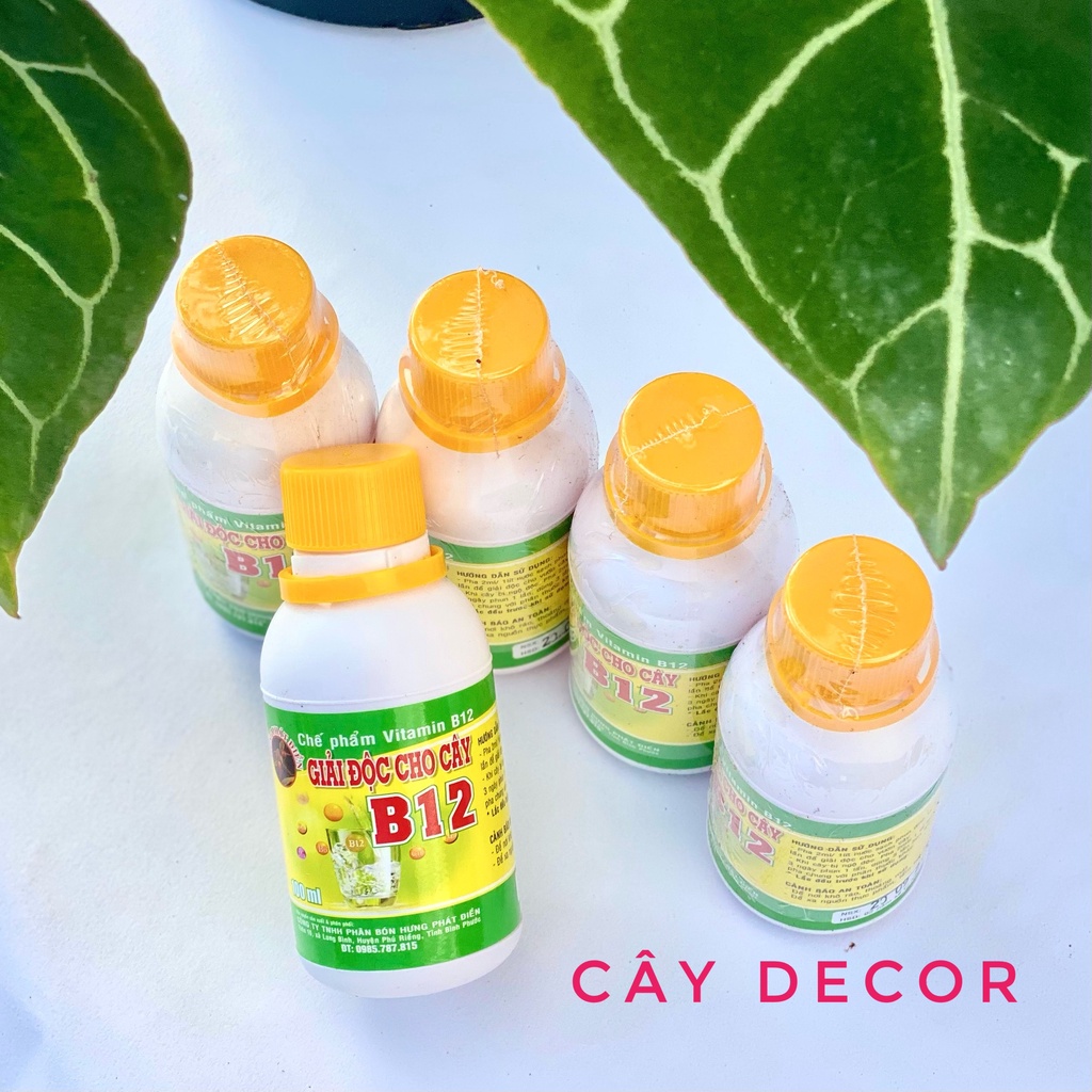 B12 giải độc cho cây [HÀNG CHUẨN] chai tiện lợi 100ml