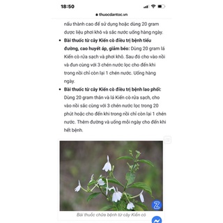 Chậu nhựa mềm kiến cò/ bạch hạt