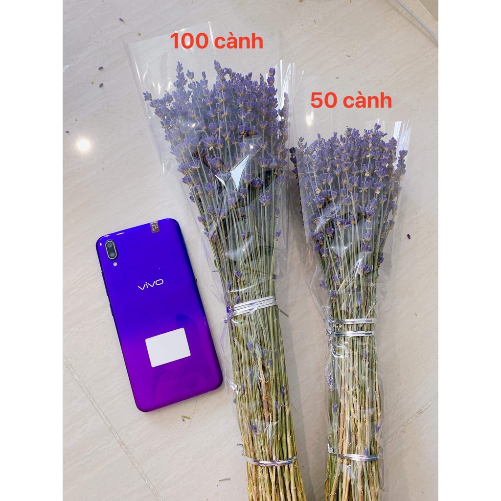 Hoa khô Lavender nhập khẩu siêu thơm  100 cành decor nội thất, hoa khô trang trí