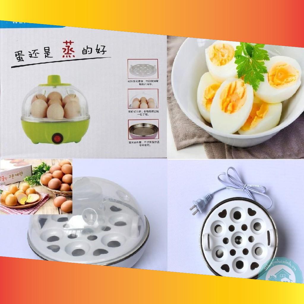  [FREESHIP-150K] MÁY HẤP TRỨNG, THỨC ĂN ĐA NĂNG COOKER[*] 