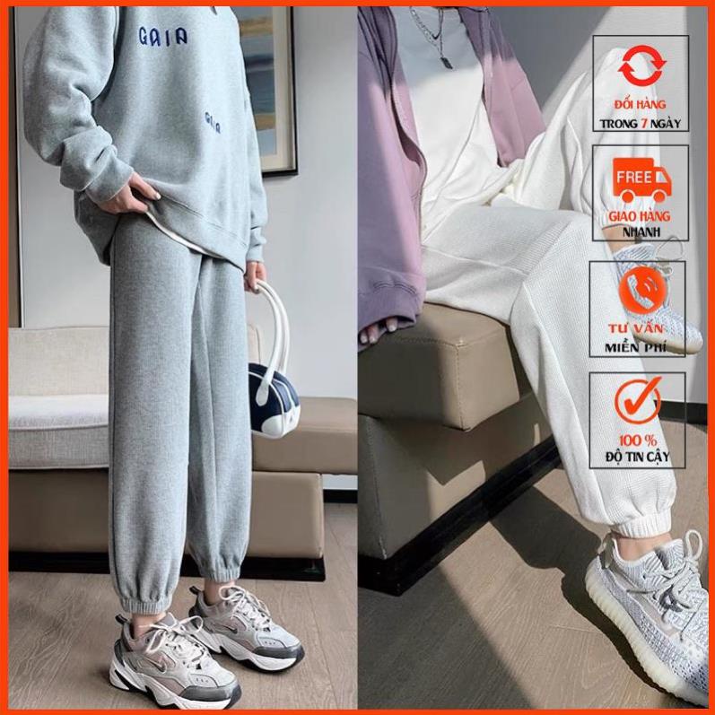 [QUÀ TẶNG KTYTT] Quần Jogger Nữ Chất Nỉ Tổ Ong dày ấm 4 màu m899