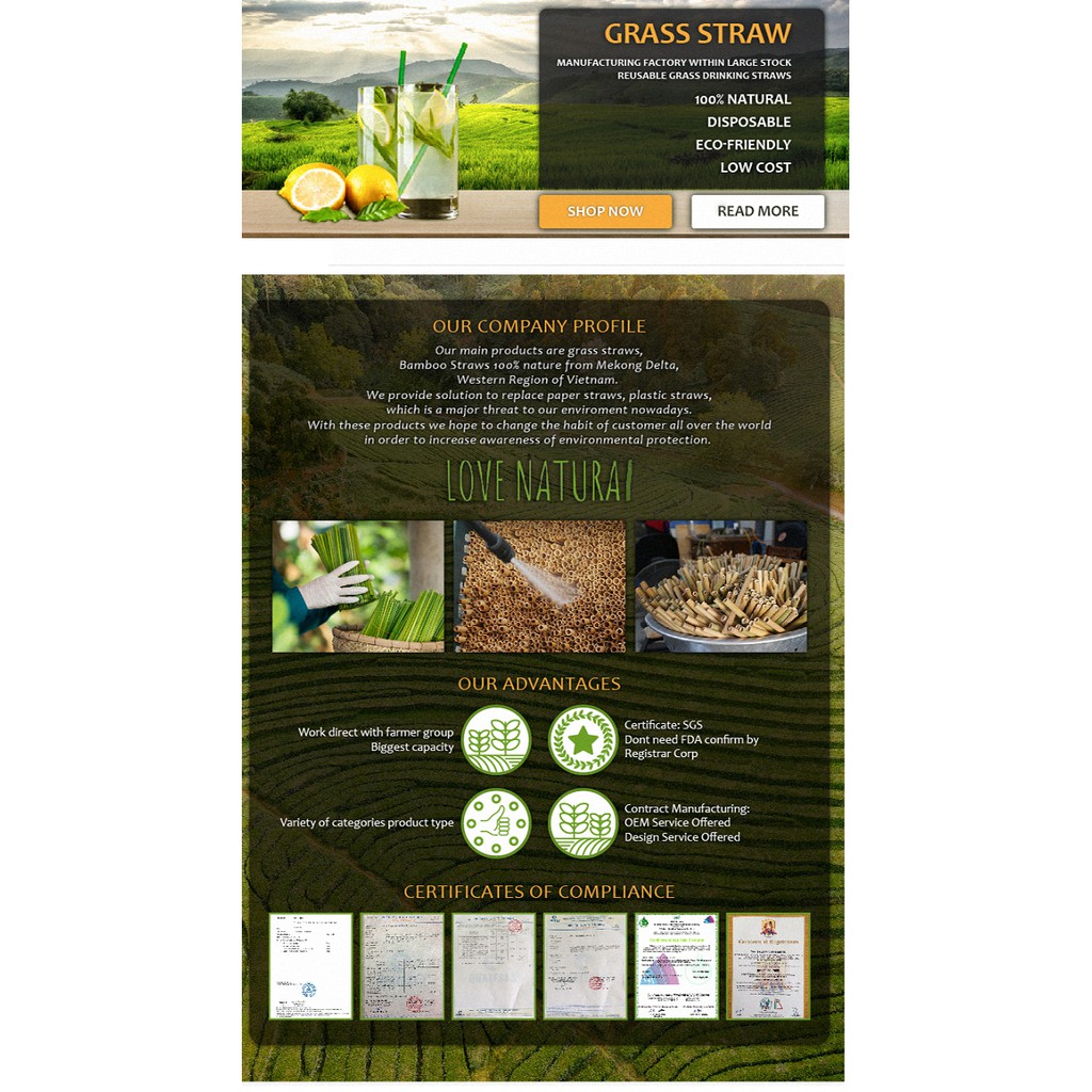 Ông hút cỏ bàng/tre khô Love natural xuất khẩu Châu Âu (100 ống) để được 6 tháng | BigBuy360 - bigbuy360.vn