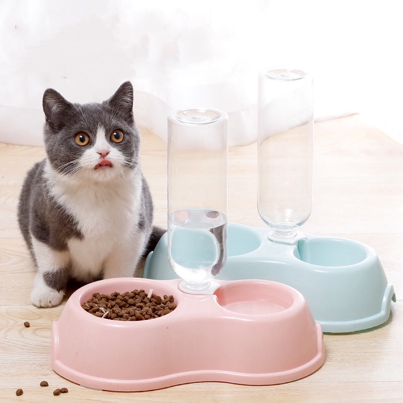 Bát ăn đôi cho thú cưng chó và mèo🐾 Khay đựng thức ăn và nước uống😻Chén ăn 😻