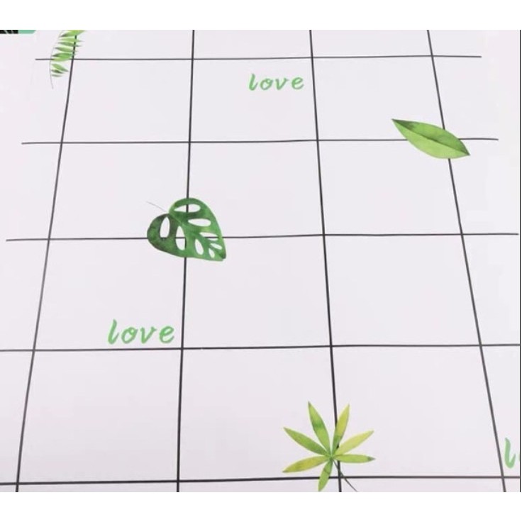 Decal giấy dán tường ô kẻ và chiếc lá khổ 45cm keo sẵn bóc dán