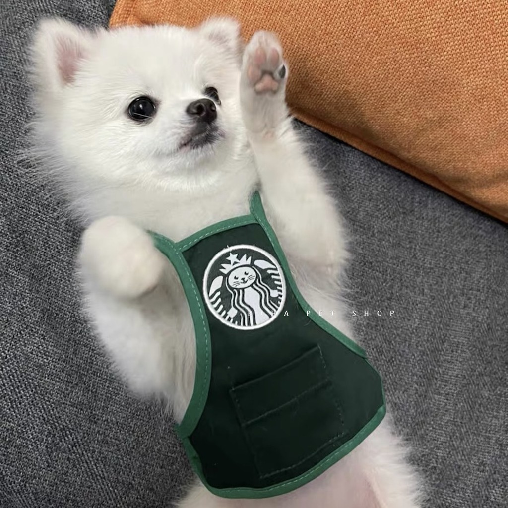 Yếm Starbucks Hàn Quốc Dễ Thương Quần Áo Cho Chó Đeo Bụng Tạp Dề Khăn Mũ Sinh Nhật Mèo.