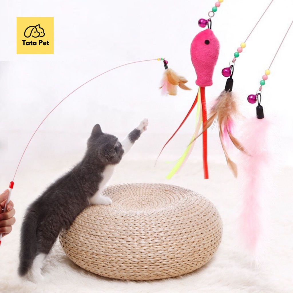 Đồ chơi mèo- cần câu mèo dây thép gắng lông vũ Cần câu dành cho chó mèo TATAPET