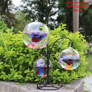 Bể cá mini tam trụ 28 ( Tặng kèm combo phụ kiện trang trí )