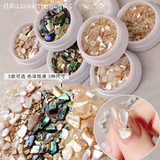 Đá vỏ sò tự nhiên, đá xà cừ trang trí móng tay nghệ thuật
